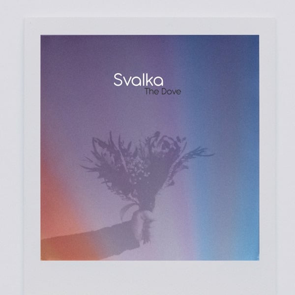 POSmusic background music streaming platform for business fitness, gyms, Pilates  playlists – Svalka - The Dove