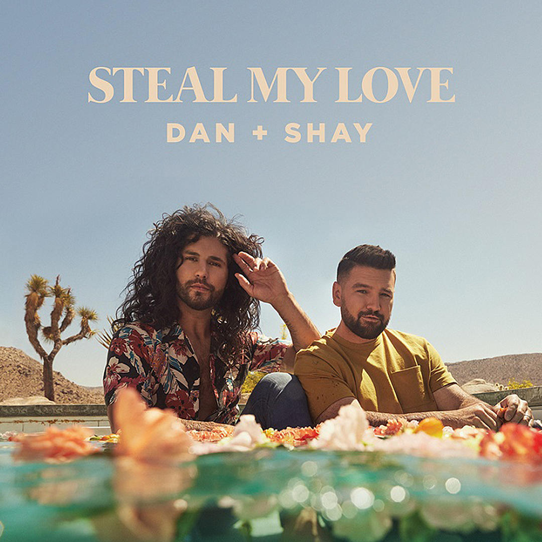 Dan + Shay - Steal My Love POSmusic background music streaming platform medical practice music playlists 