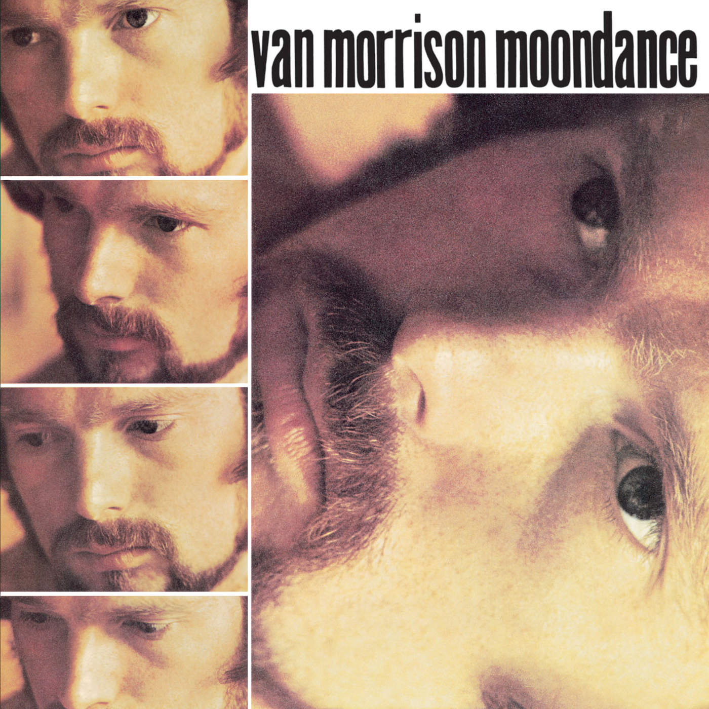 Van Morrison - Crazy Love